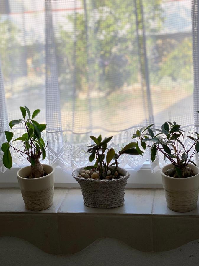 Apartamento Marina